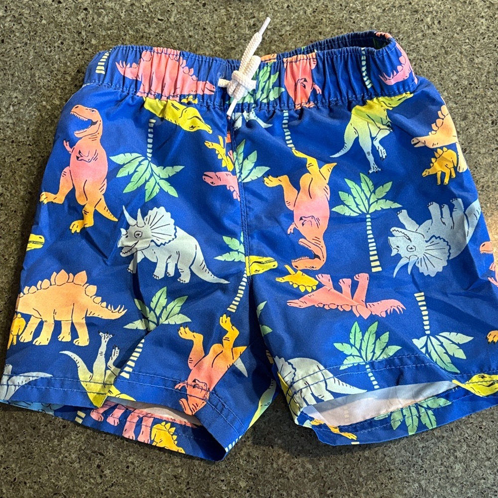 Old Navy Kids Swim Trunks - Blue with Dinosaur Print